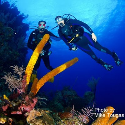 Dive the World's Second Largest Barrier Reef